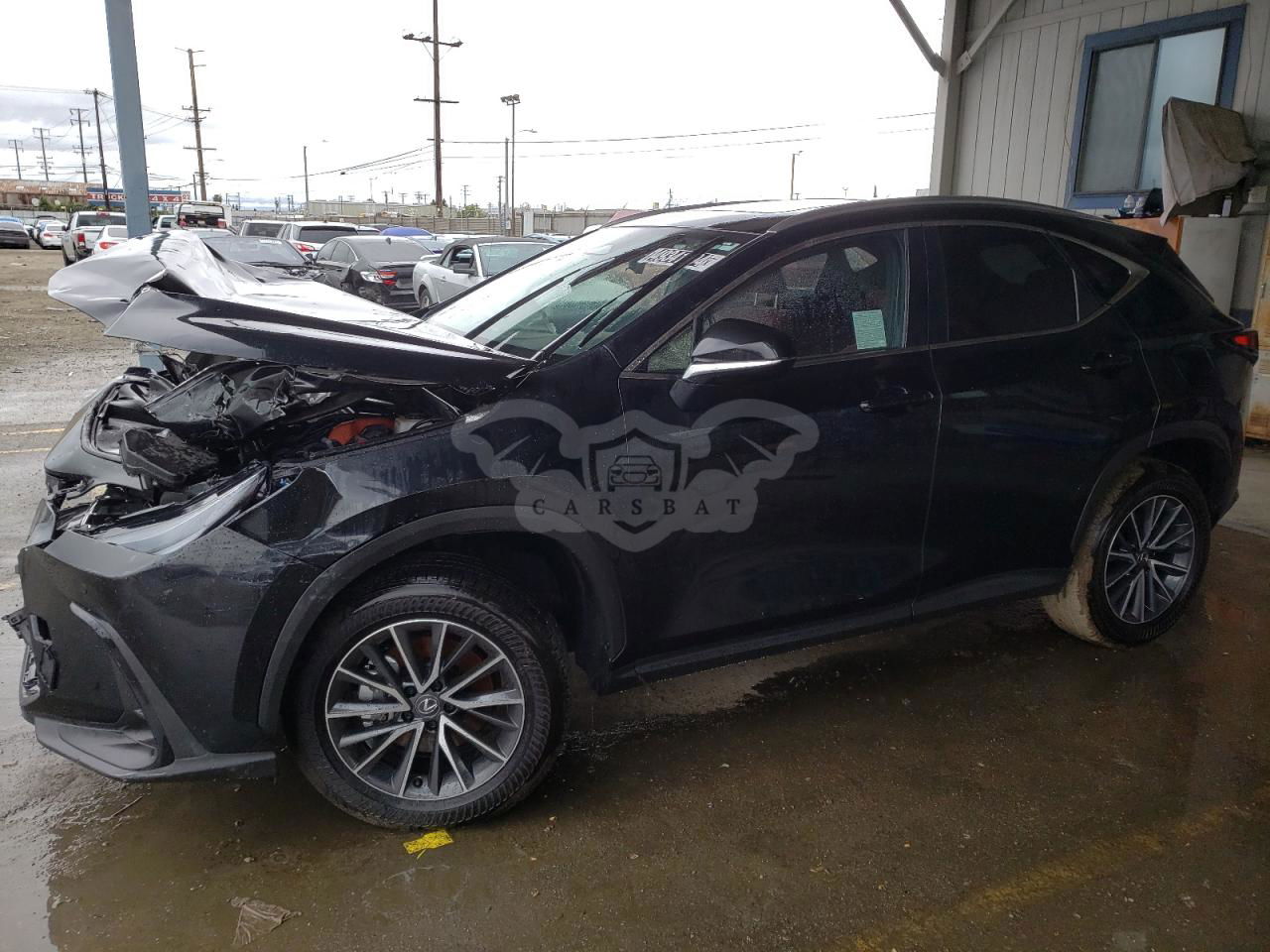 Lexus NX 2024