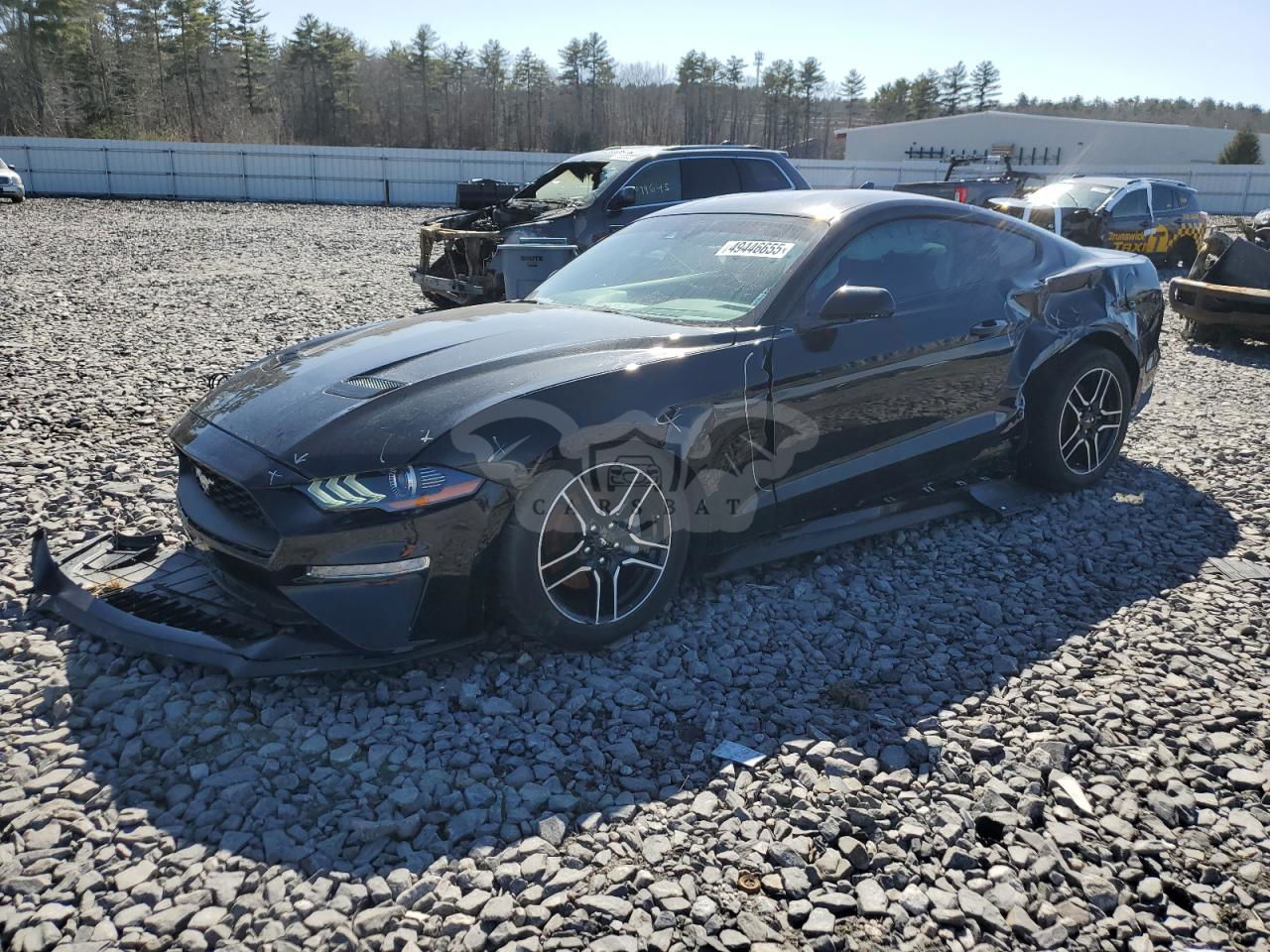 Ford Mustang 2.3L  4 2021