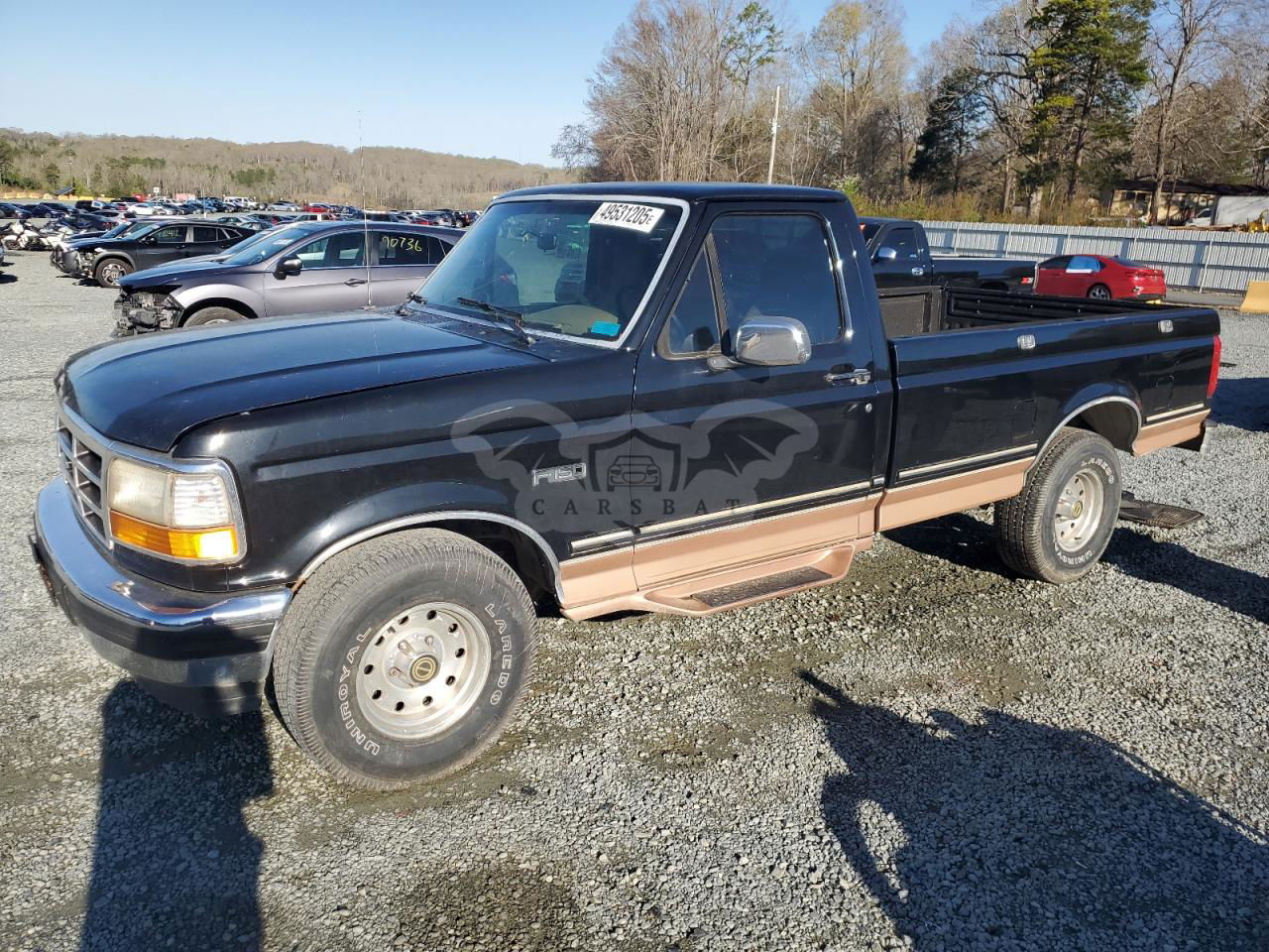 Ford F-150 5.0L  8 1995