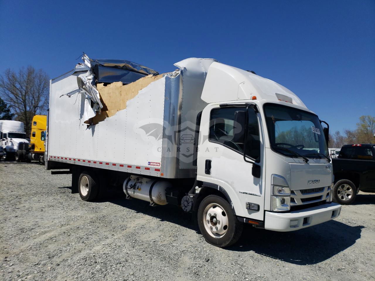 Isuzu NPR 6.6L  8 2024