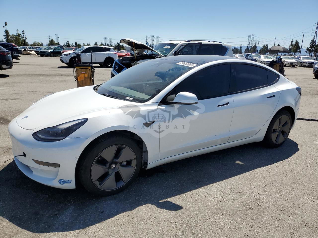 Tesla Model 3 2021