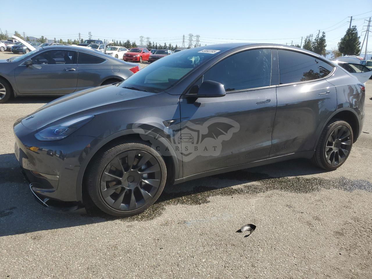 Tesla Model Y 2024