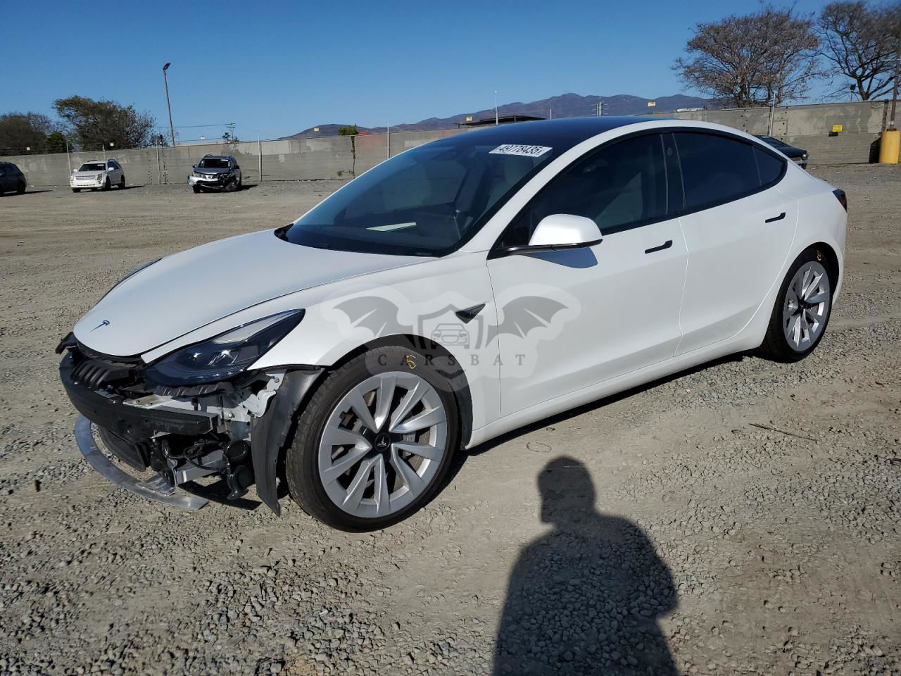 Tesla Model 3 2021