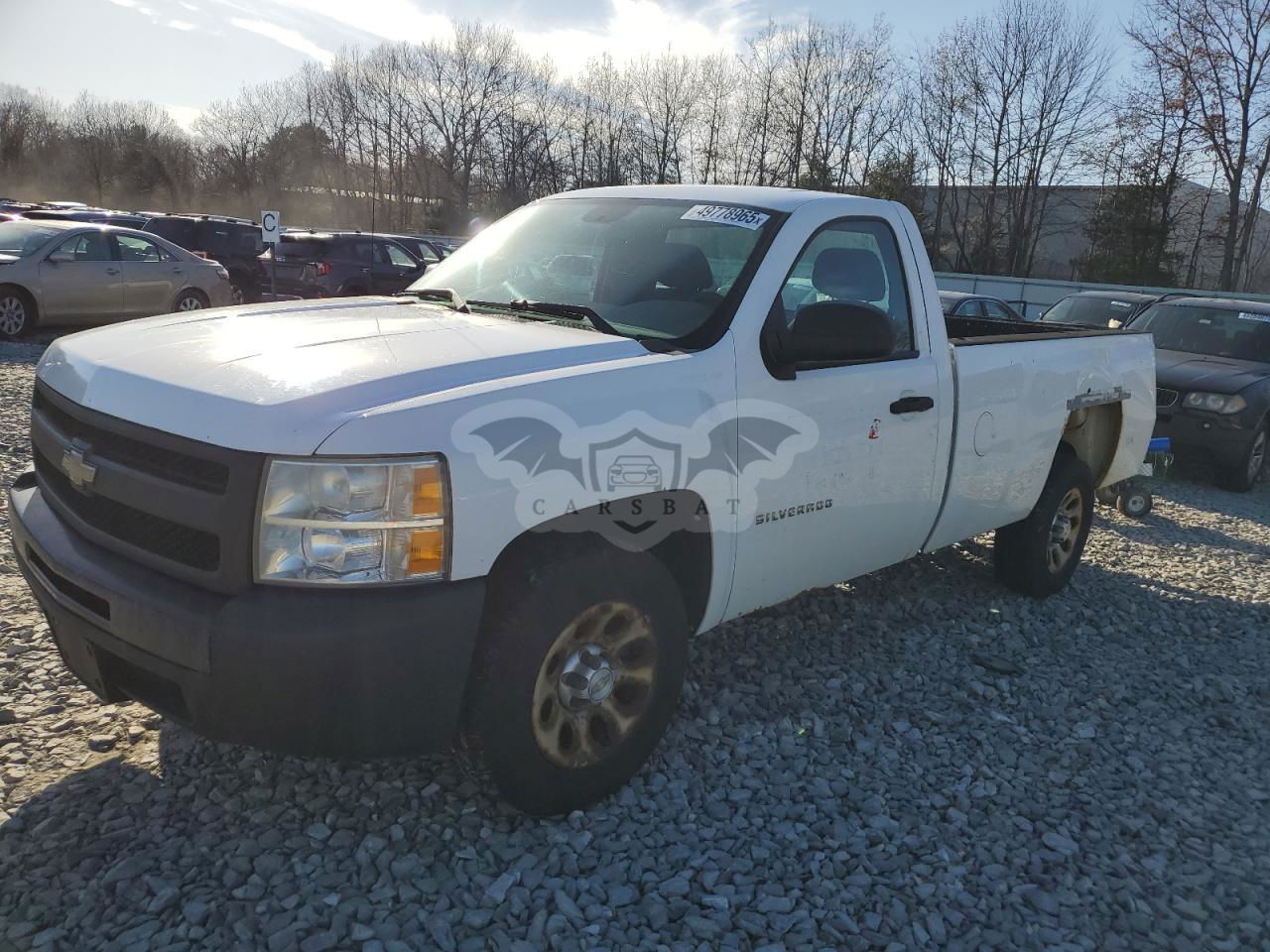 Chevrolet C/K Series C1500 2010