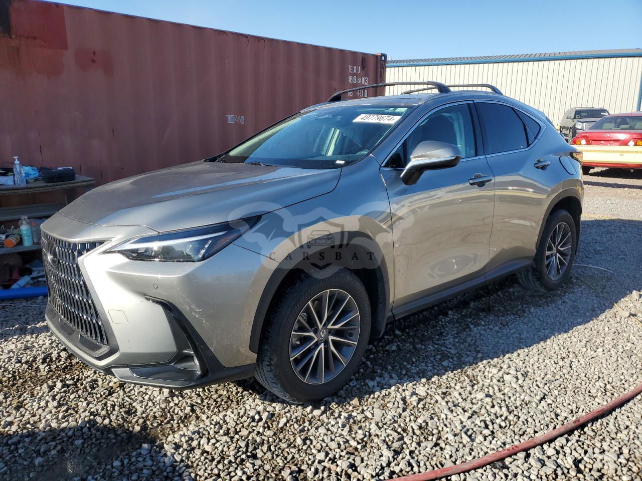 Lexus NX 2024