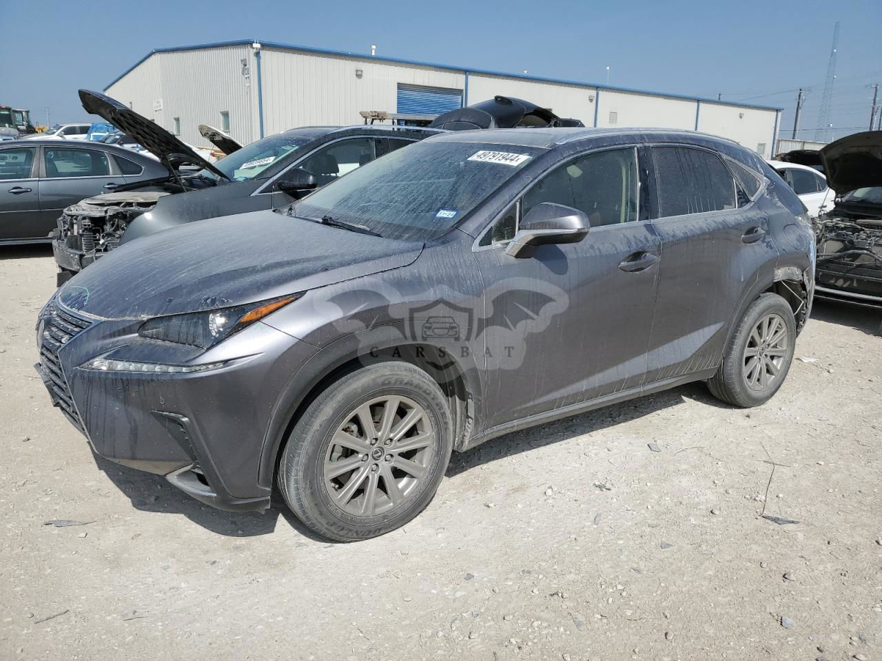 Lexus NX 2020