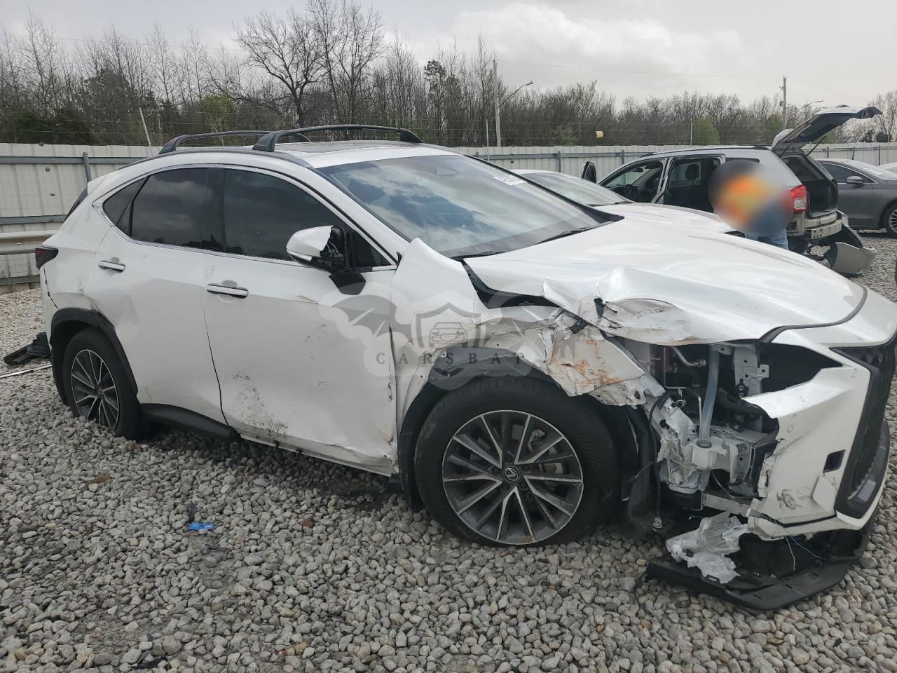 Lexus NX 350H BASE 2.5L  4 2024