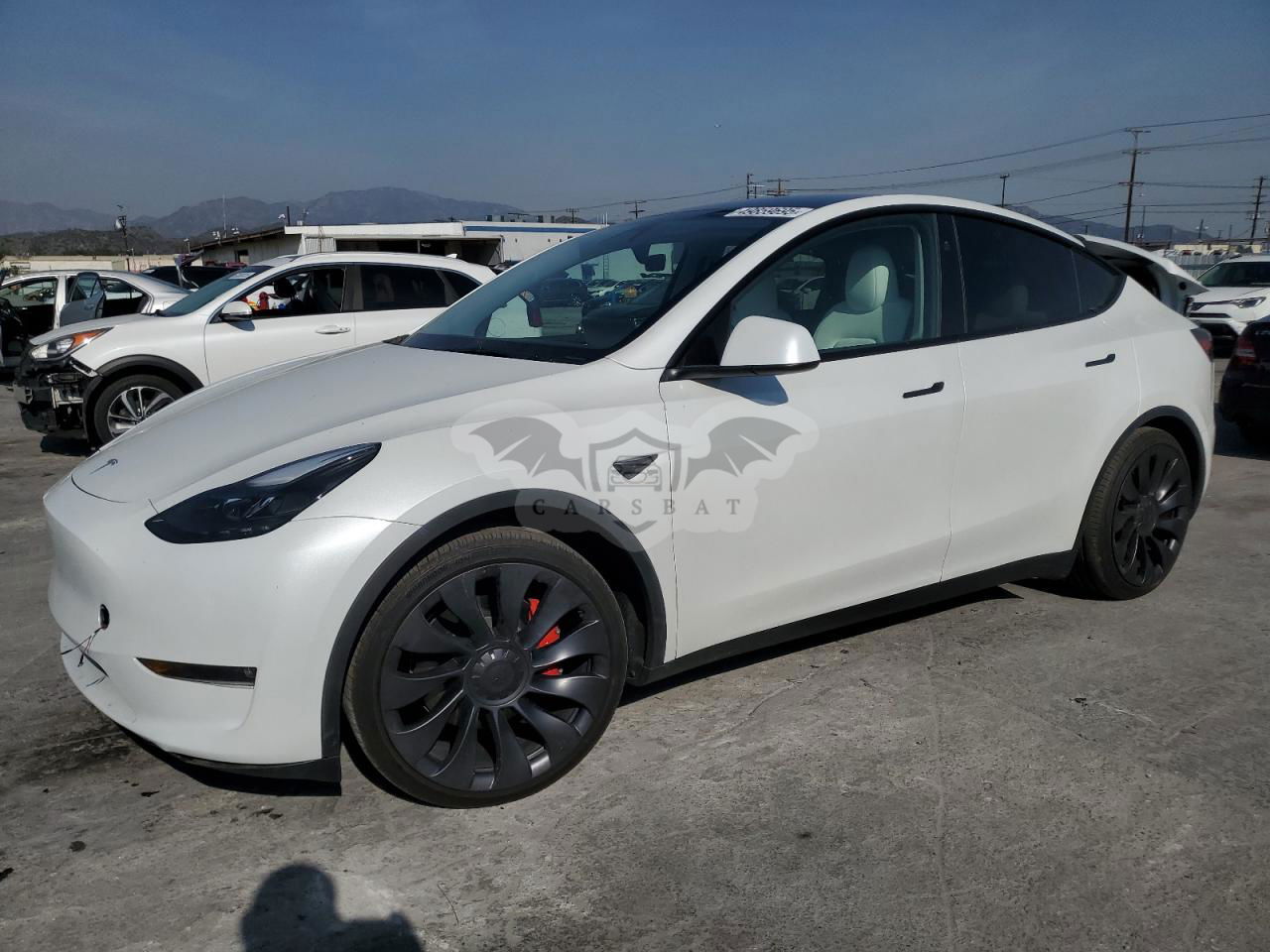 Tesla Model Y 2024