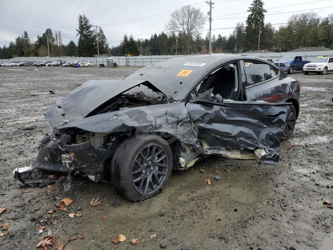 Tesla Model 3 2024