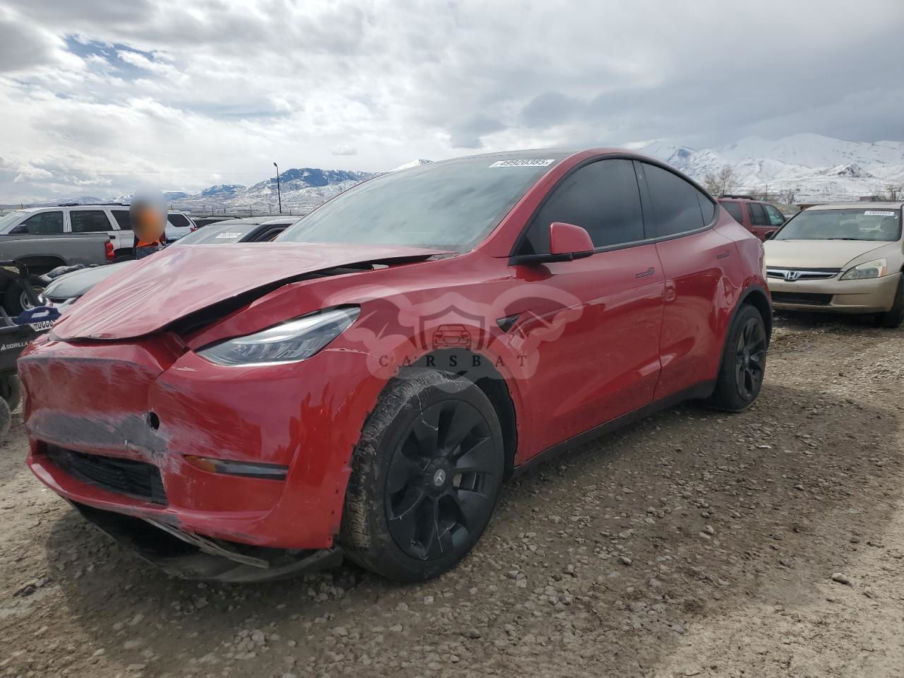 Tesla Model Y 2020
