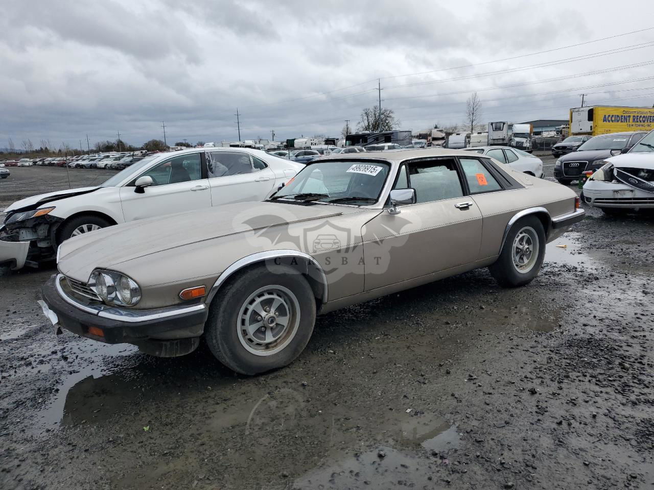 Jaguar XJS 5.3L 12 1989