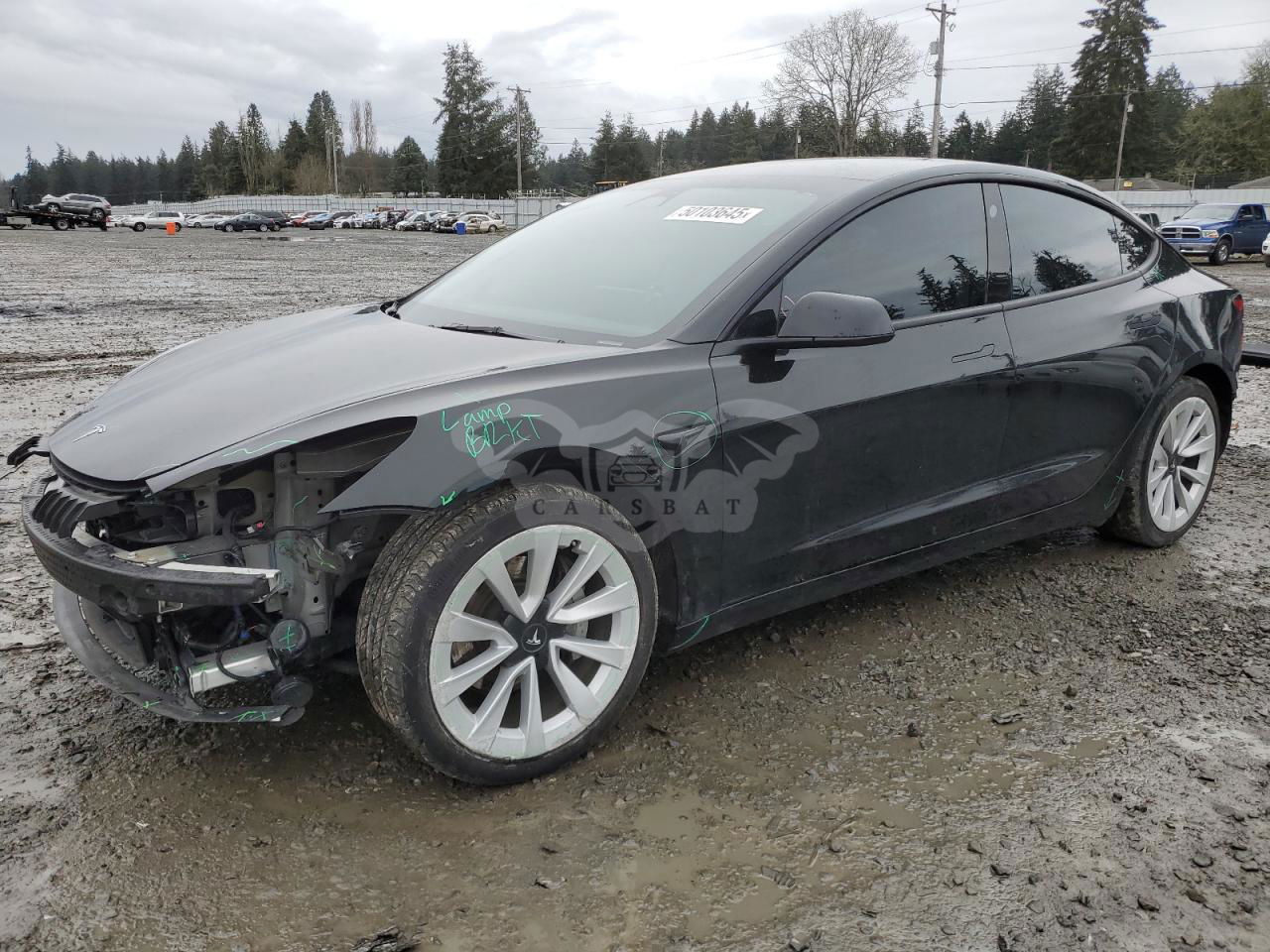 Tesla Model 3 2023