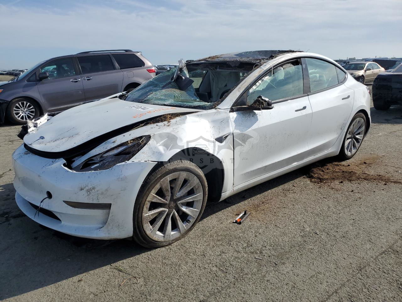 Tesla Model 3 2023