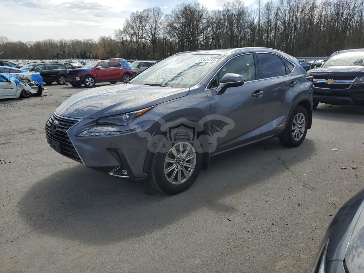 Lexus NX 2020