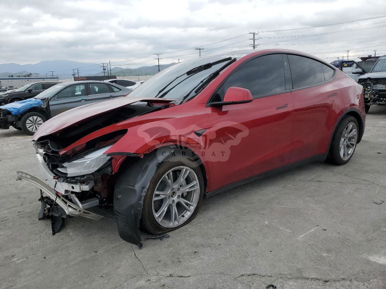 Tesla Model Y 2024