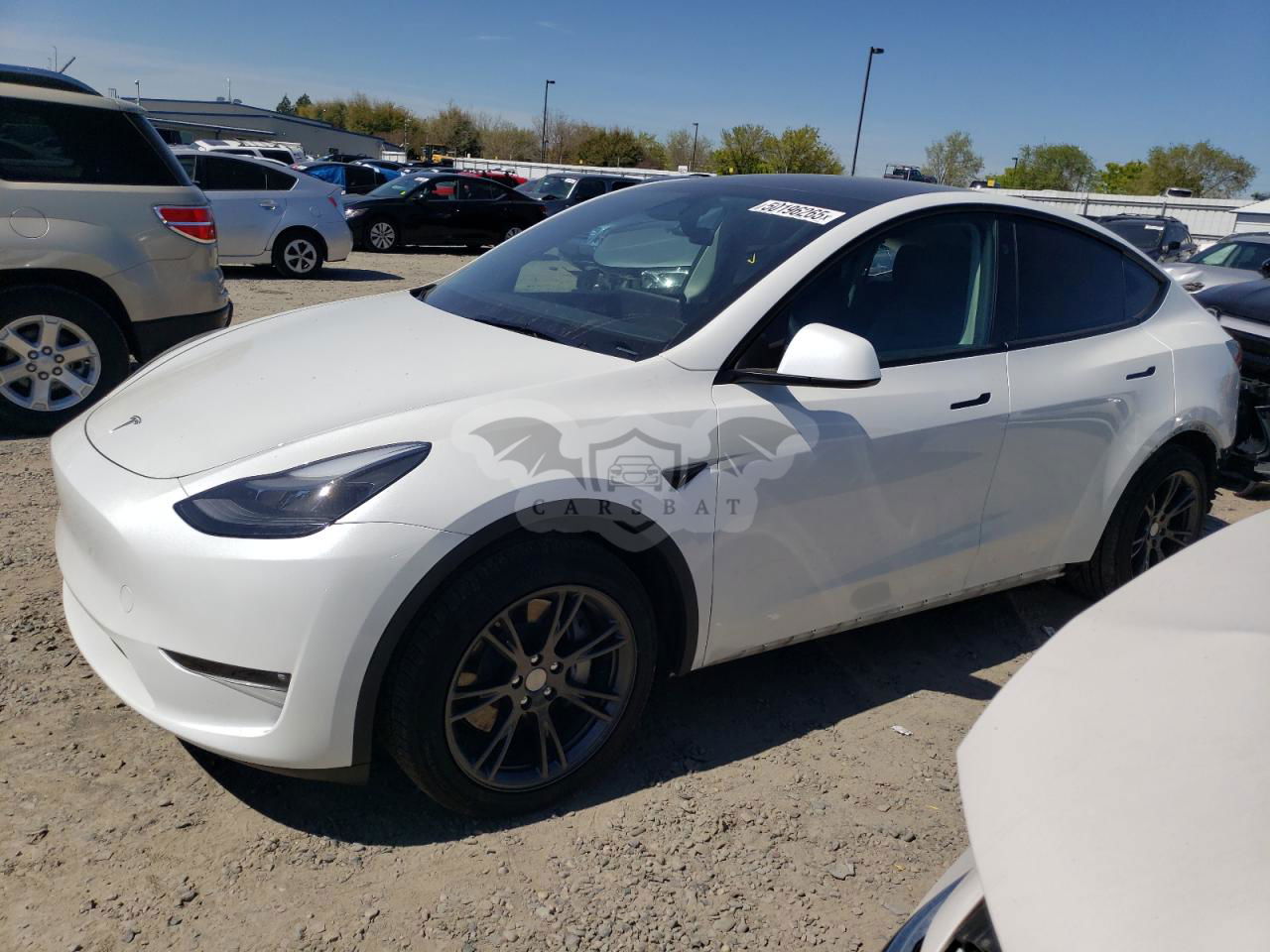 Tesla Model Y 2024