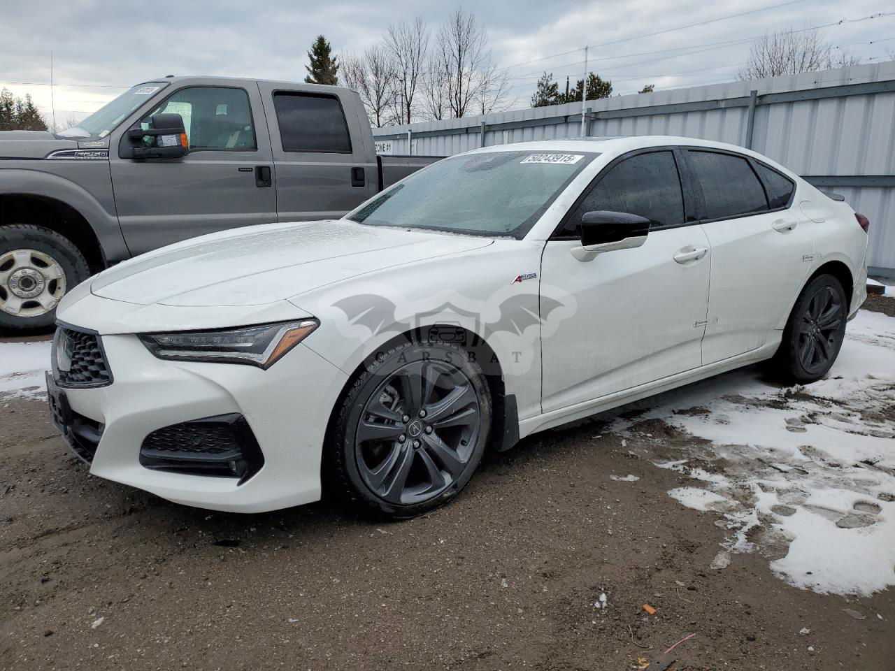 Acura TLX A-SPEC 2.0L  4 2023