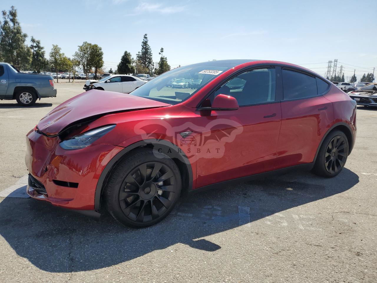 Tesla Model Y 2024