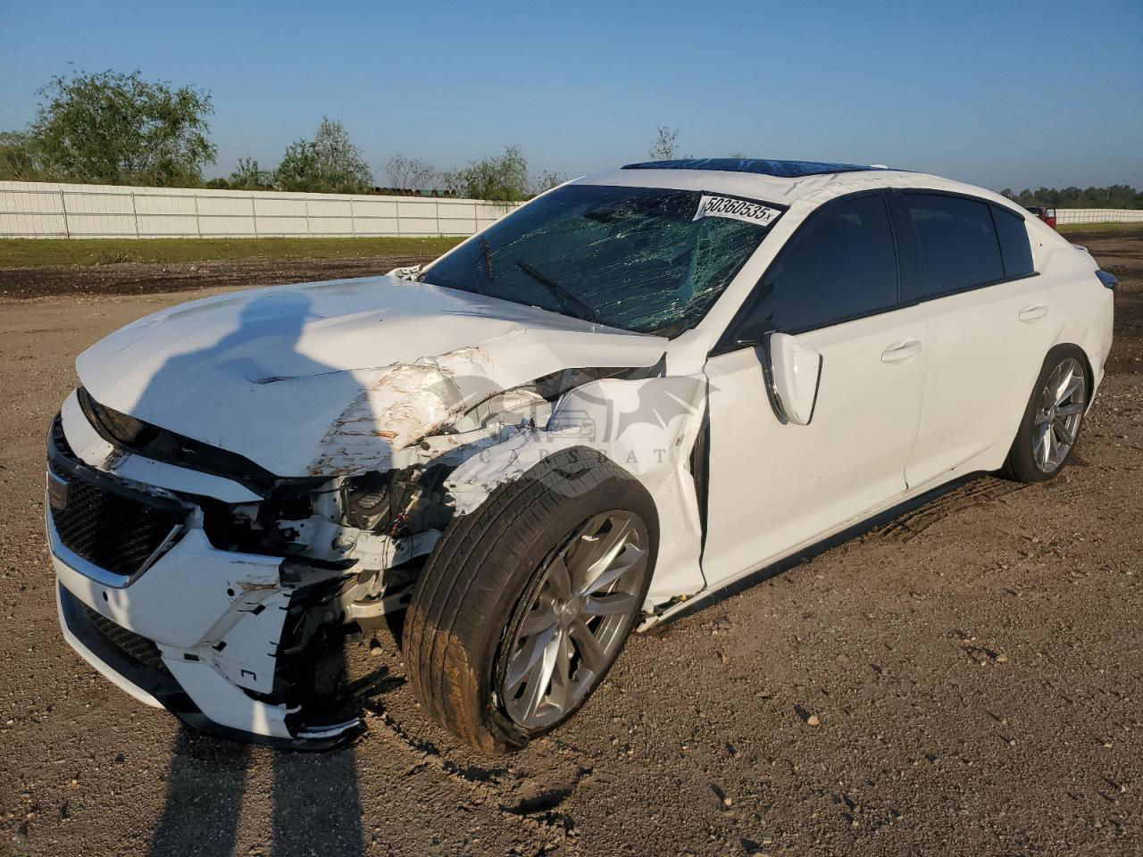 Cadillac CT5 SPORT 2.0L  4 2024