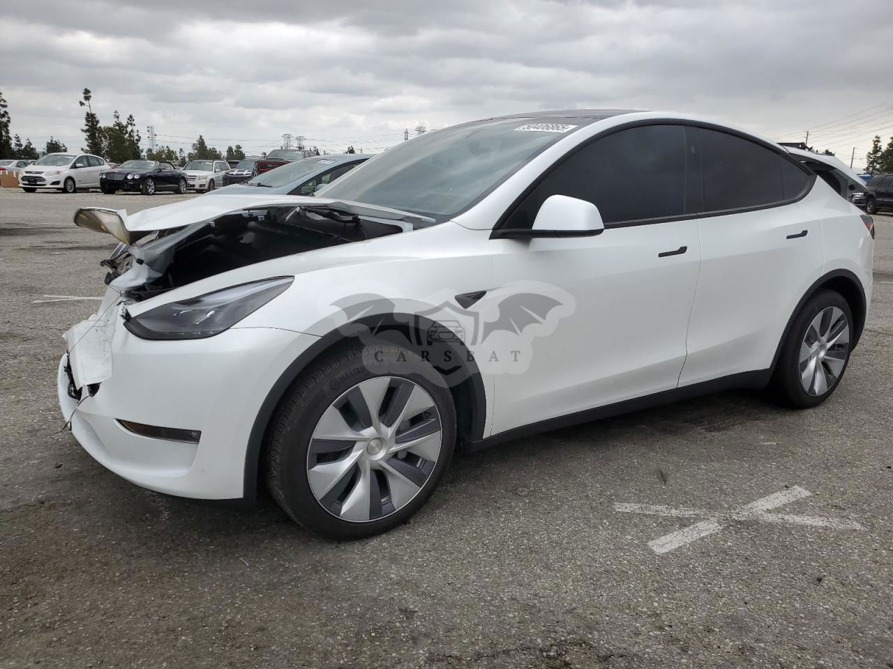 Tesla Model Y 2024
