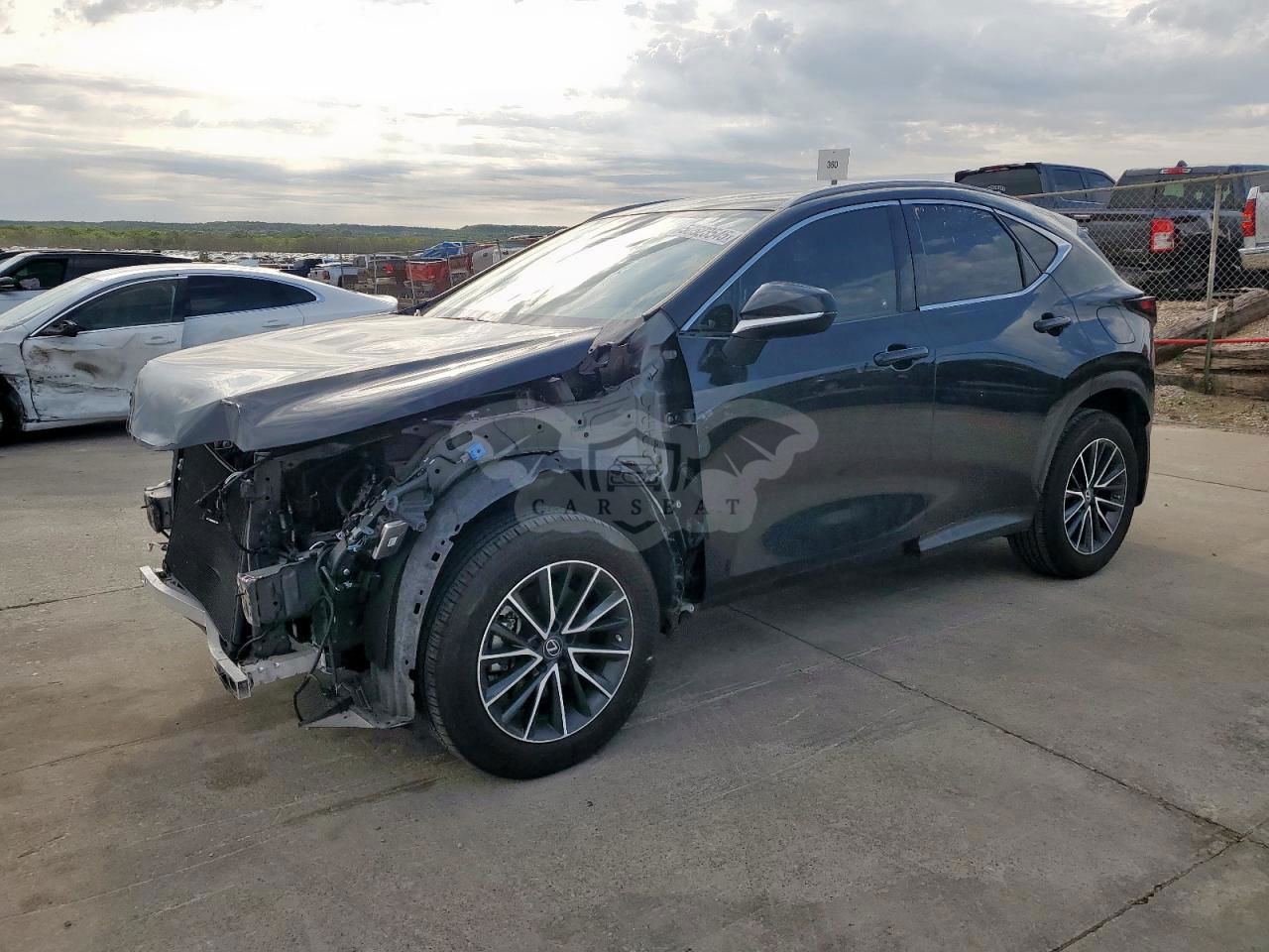 Lexus NX 250 2.5L  4 2023
