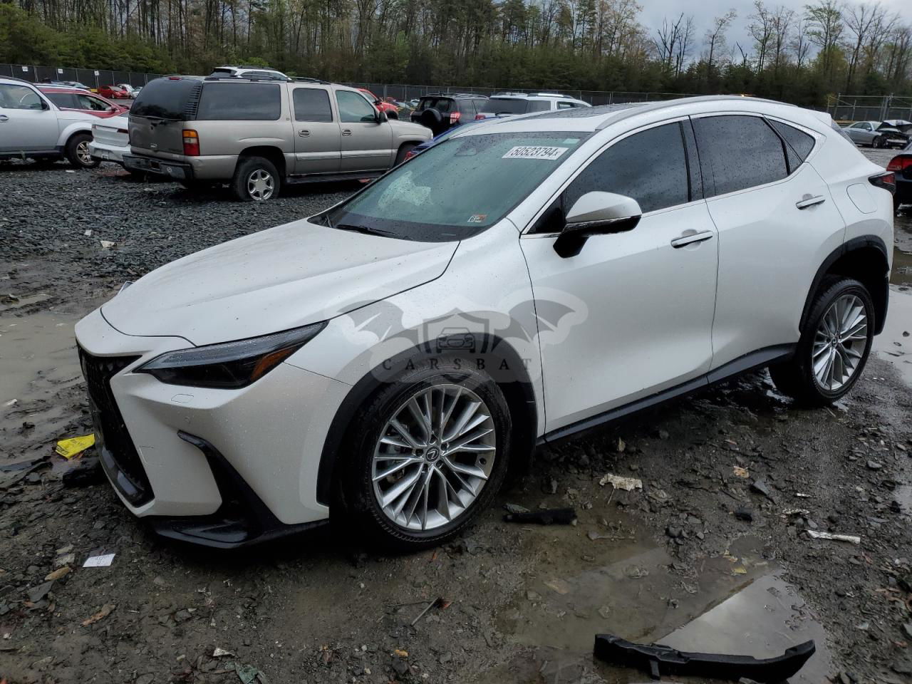 Lexus NX 350 LUXURY 2.4L  4 2024