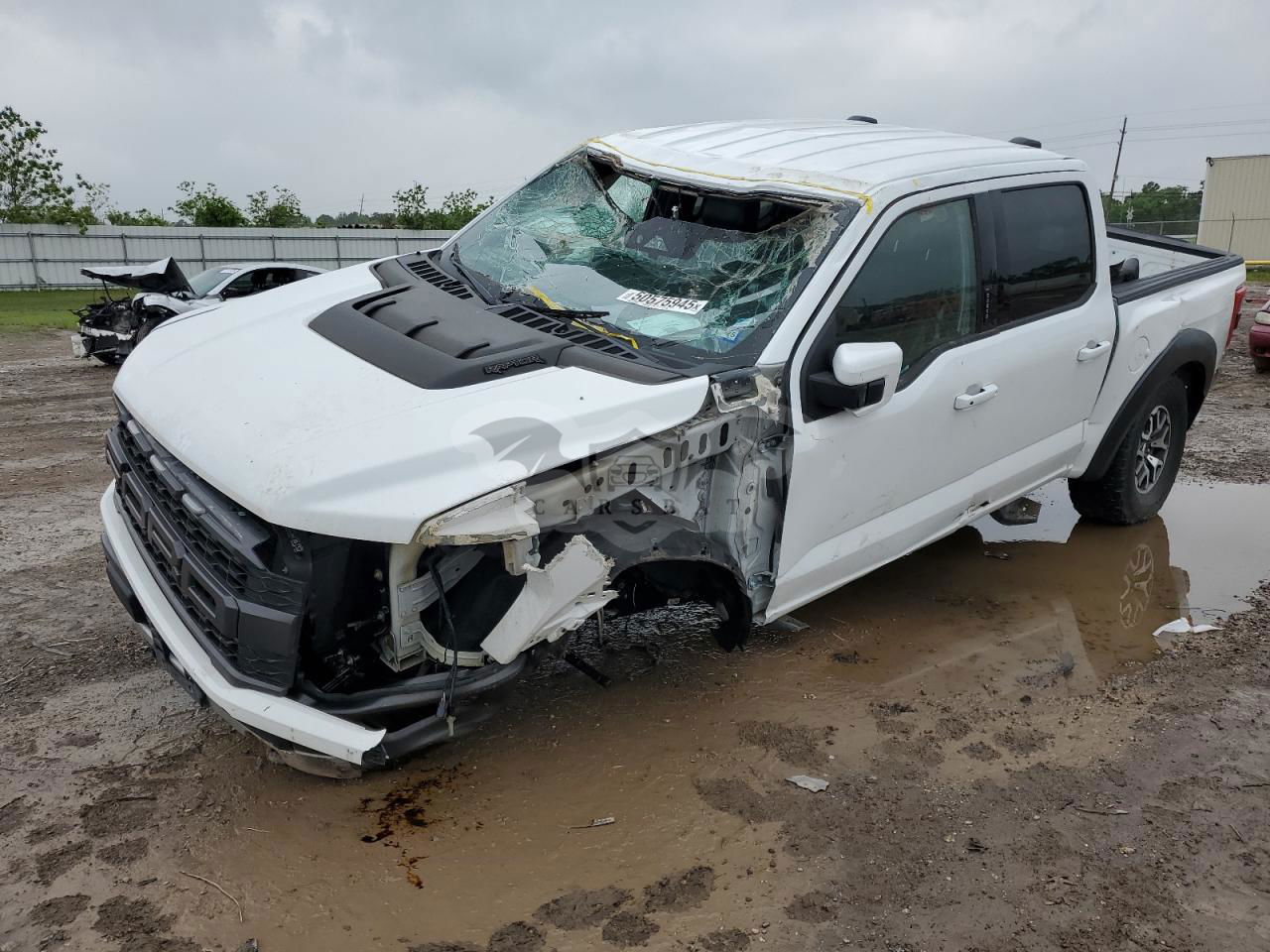 Ford F-150 RAPTOR 3.5L  6 2022