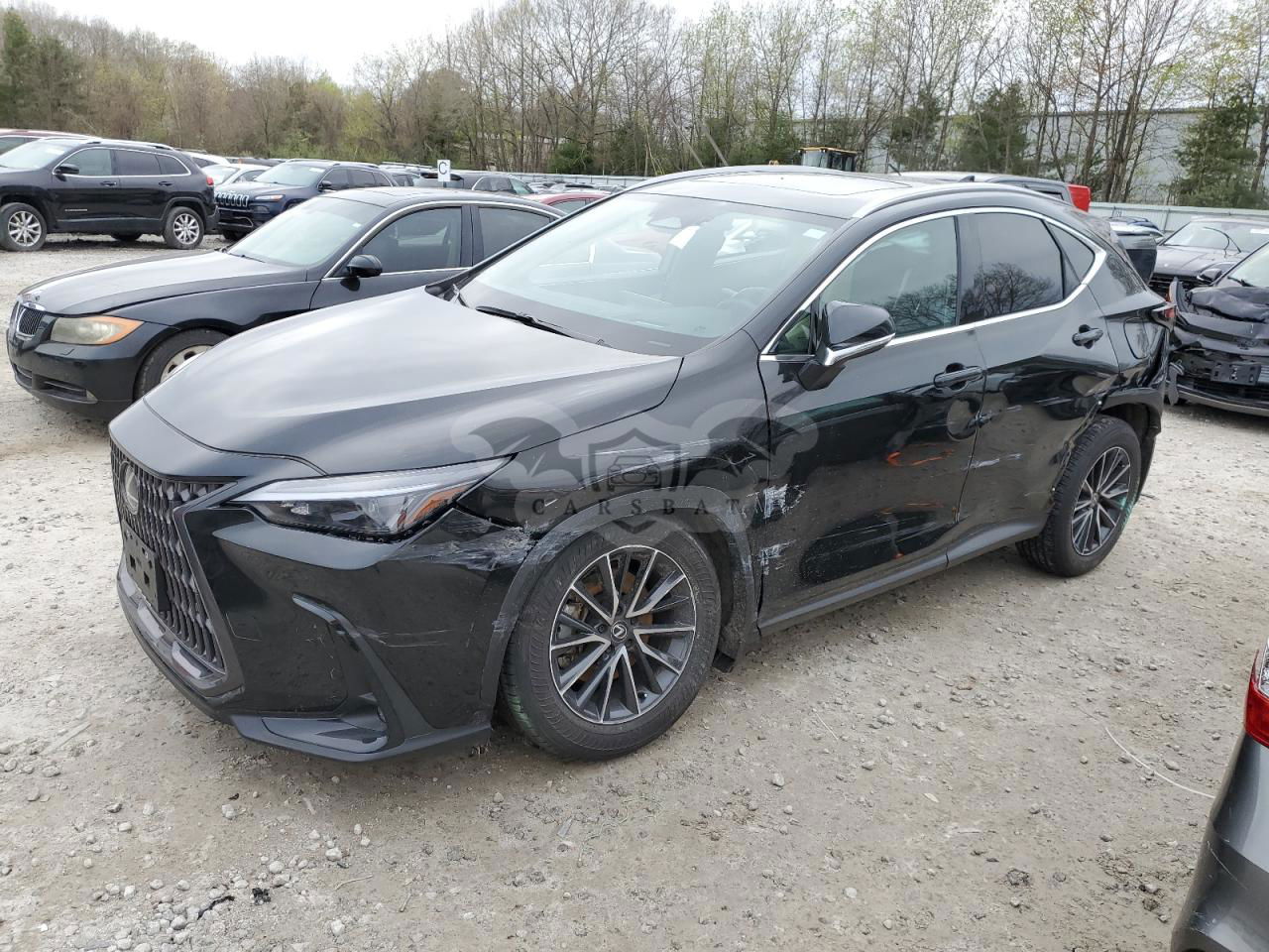 Lexus NX 2024