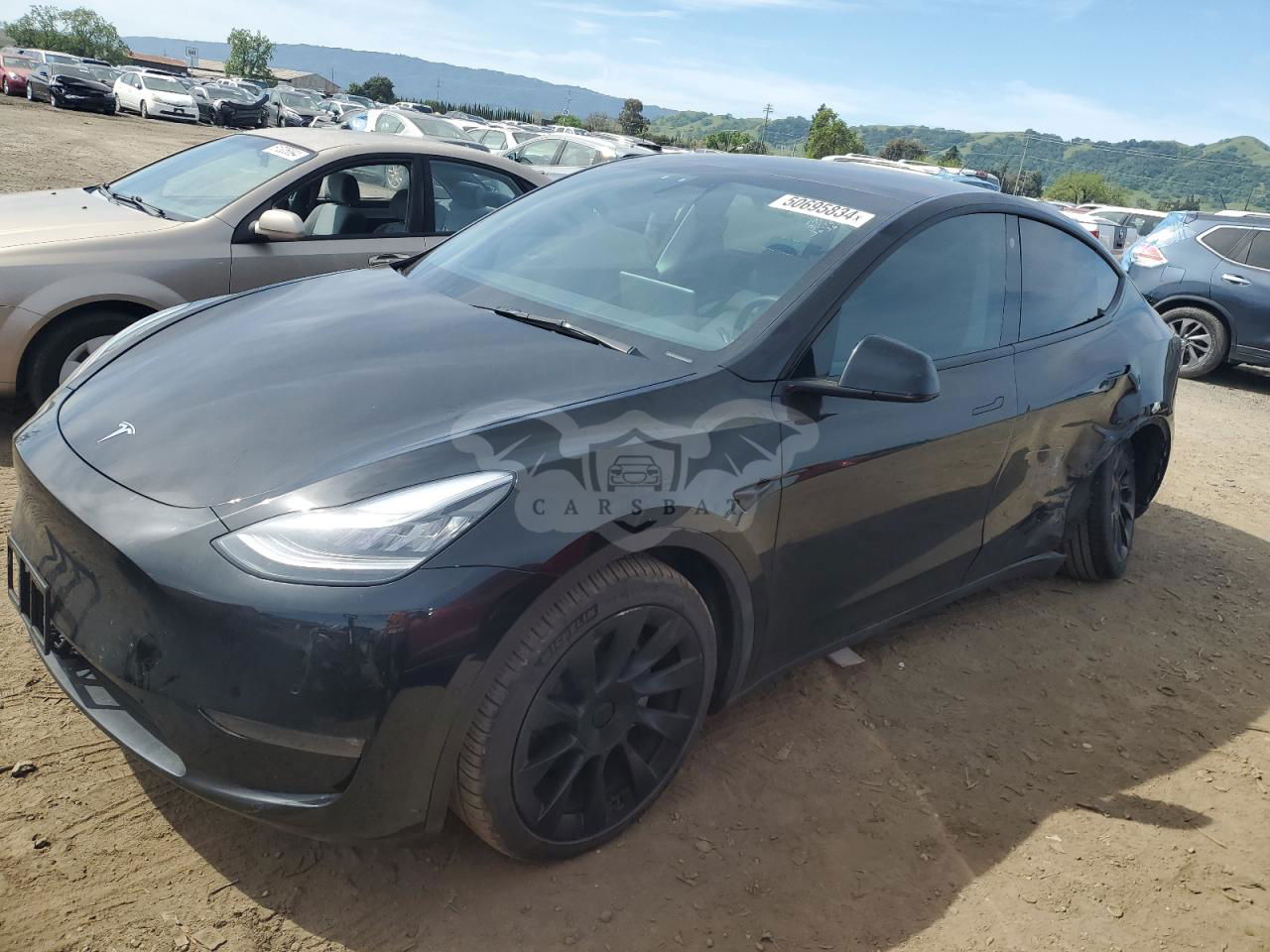 Tesla Model Y 2021