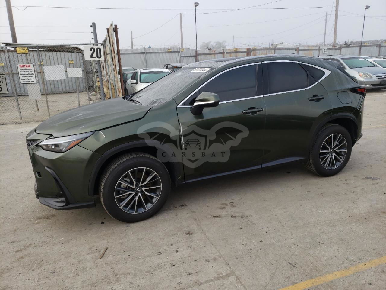 Lexus NX 2024