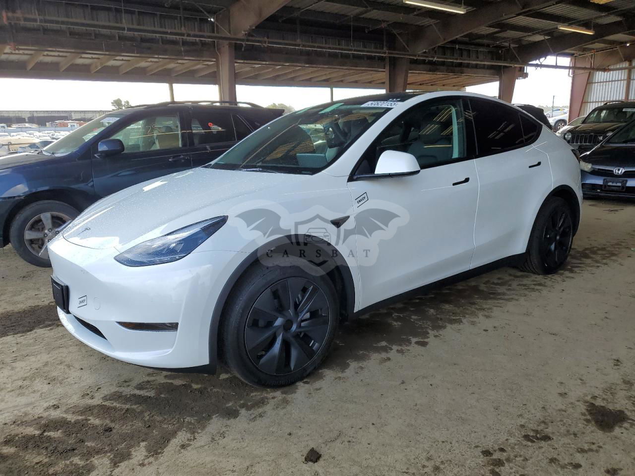 Tesla Model Y 2024