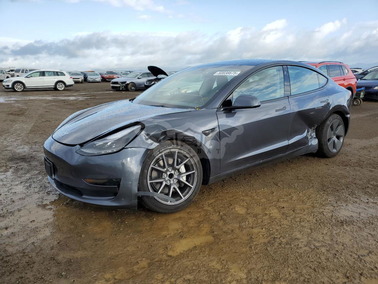 Tesla Model 3 2023