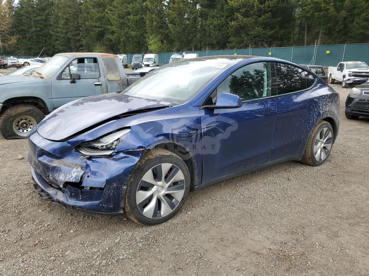 Tesla Model Y 2020