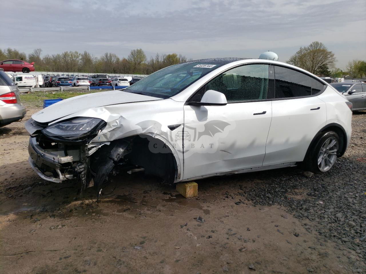 Tesla Model Y 2021