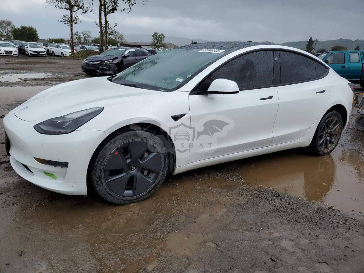 Tesla Model 3 2023