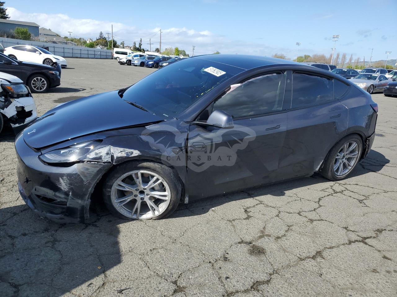 Tesla Model Y 2024