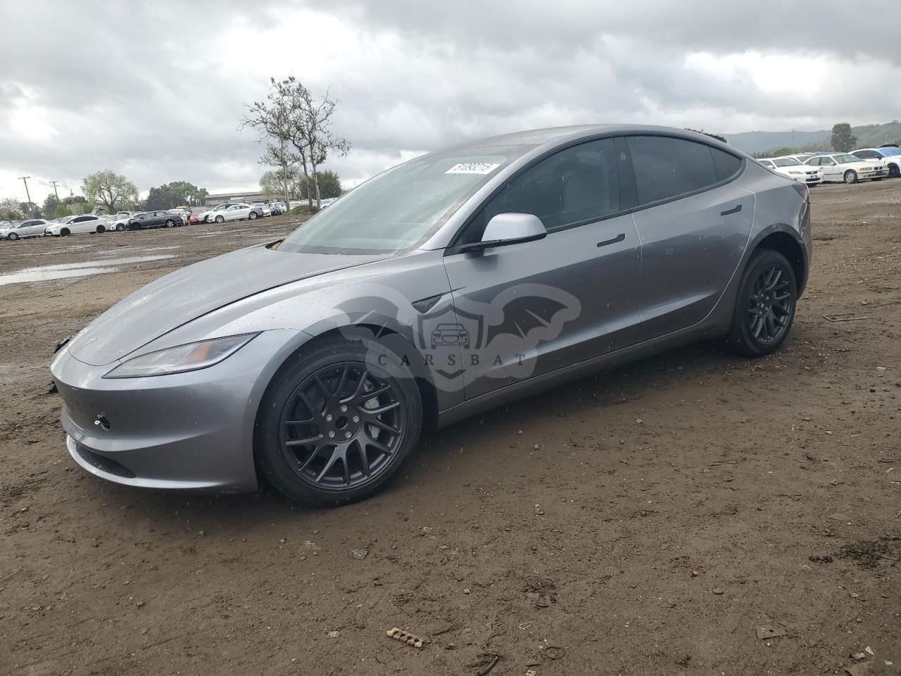 Tesla Model 3 2025