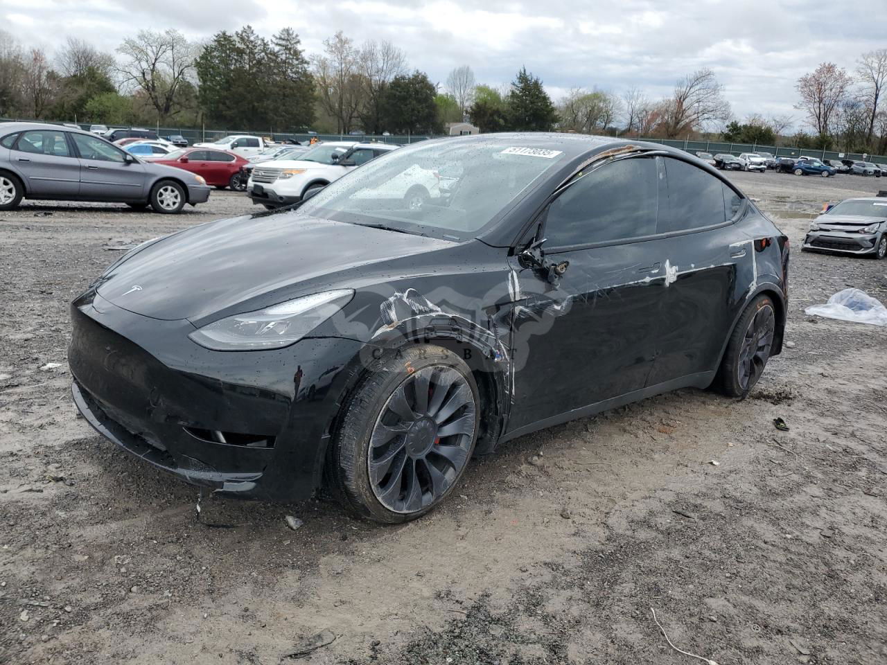Tesla Model Y 2024