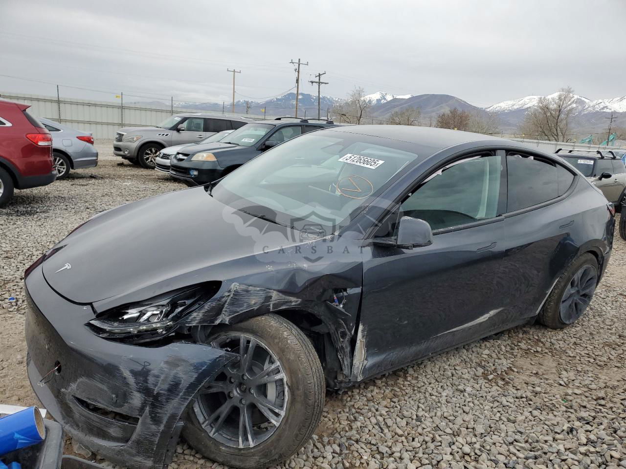 Tesla Model Y 2024