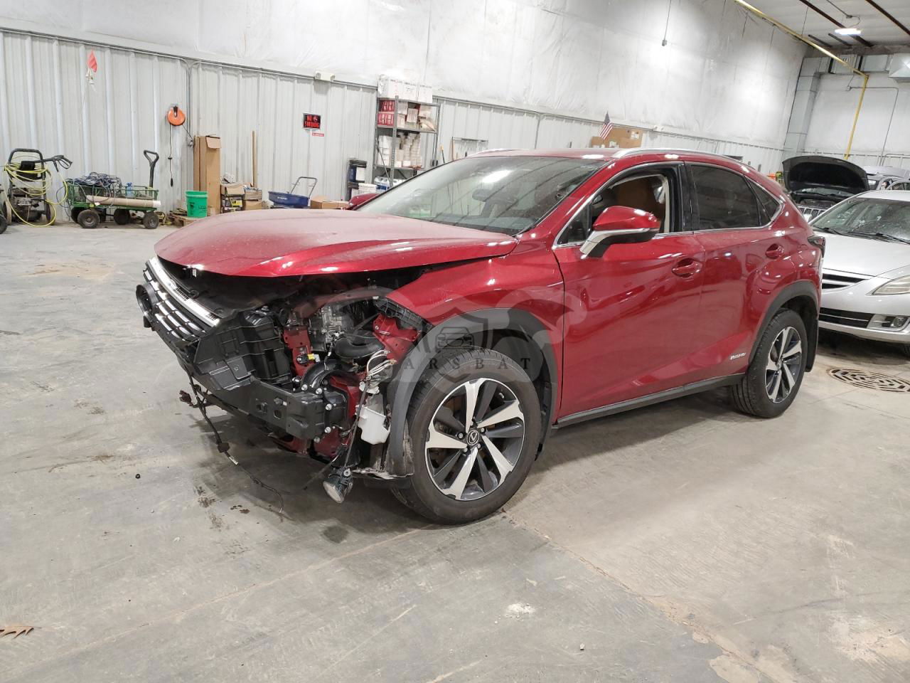Lexus NX 2021