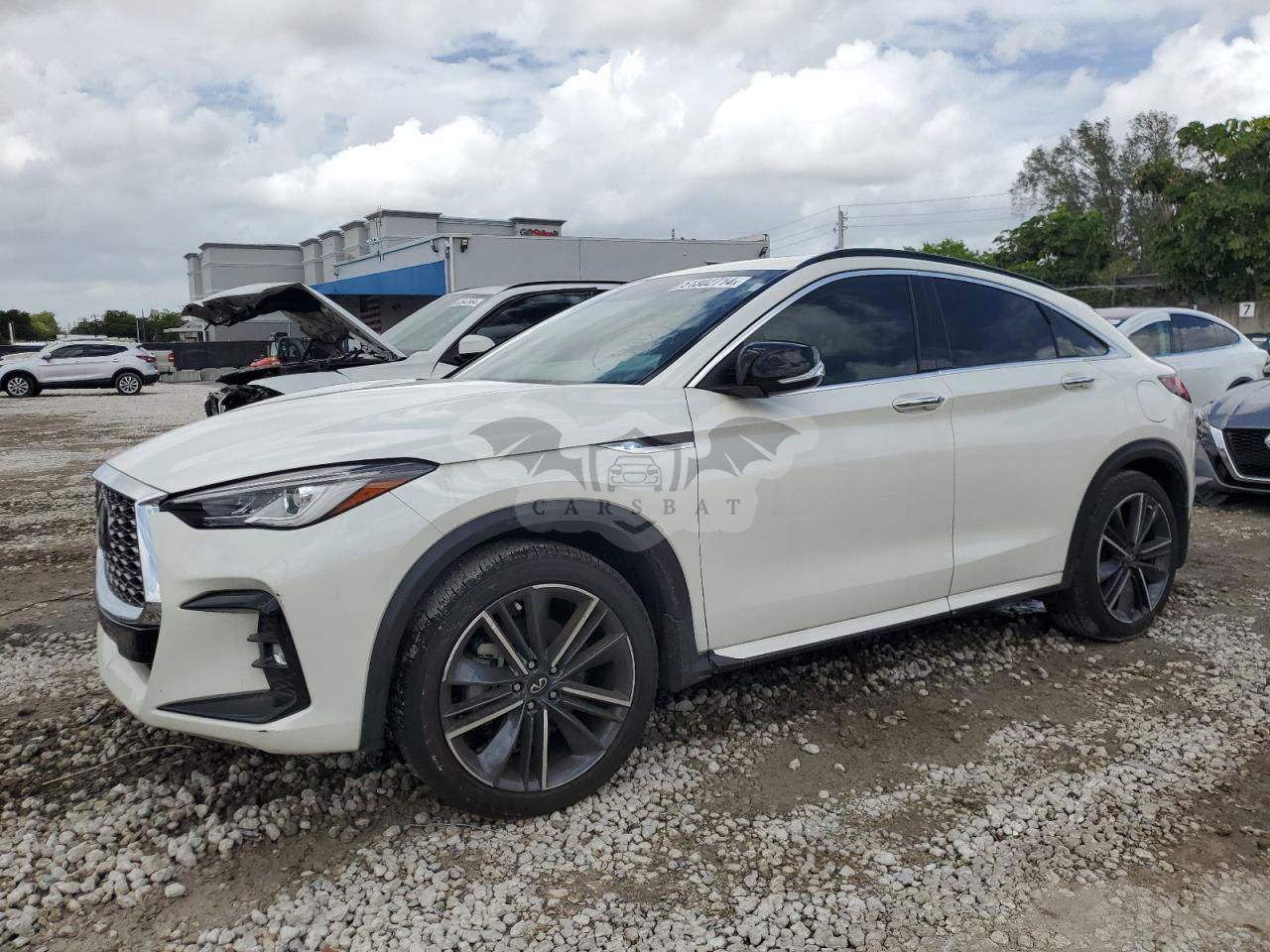 Infiniti QX50 2023