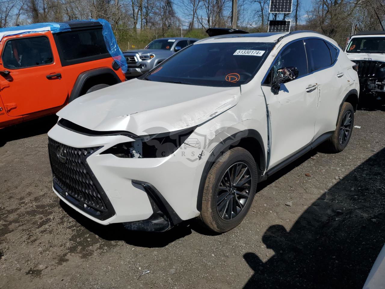 Lexus NX 2024