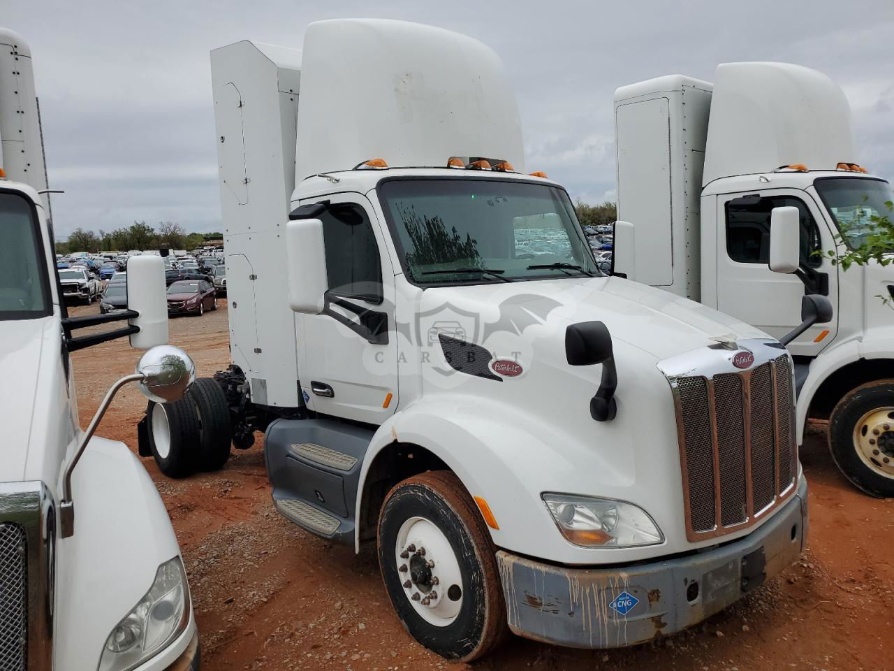 Peterbilt 567/579/587 11.9L  6 2017
