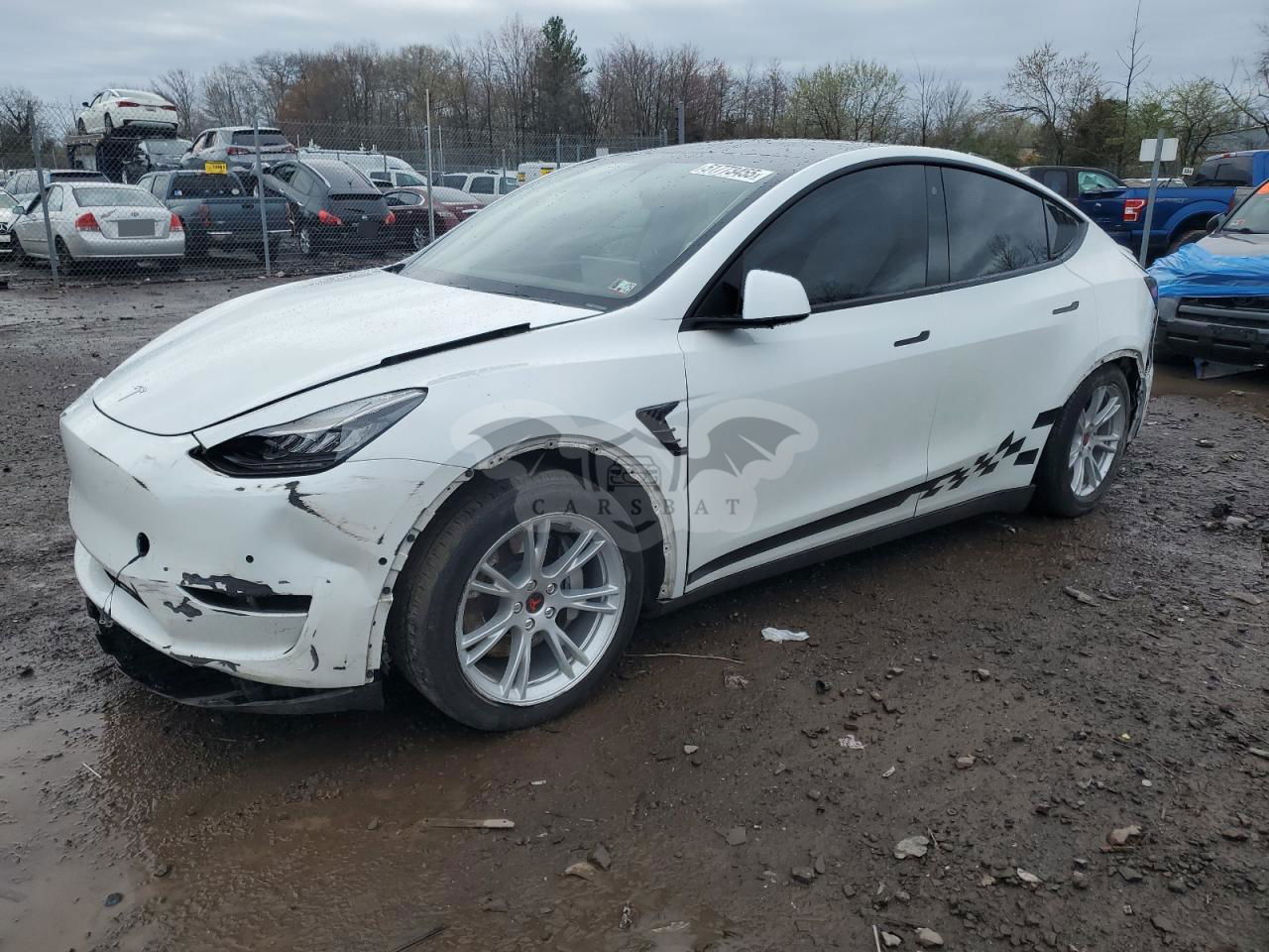 Tesla Model Y 2020