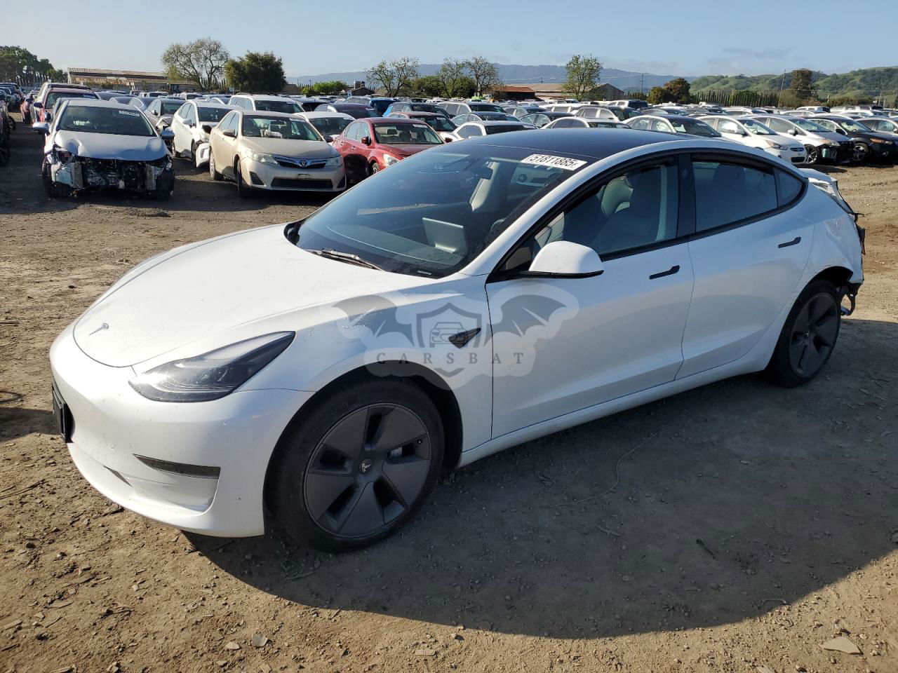 Tesla Model 3 2023