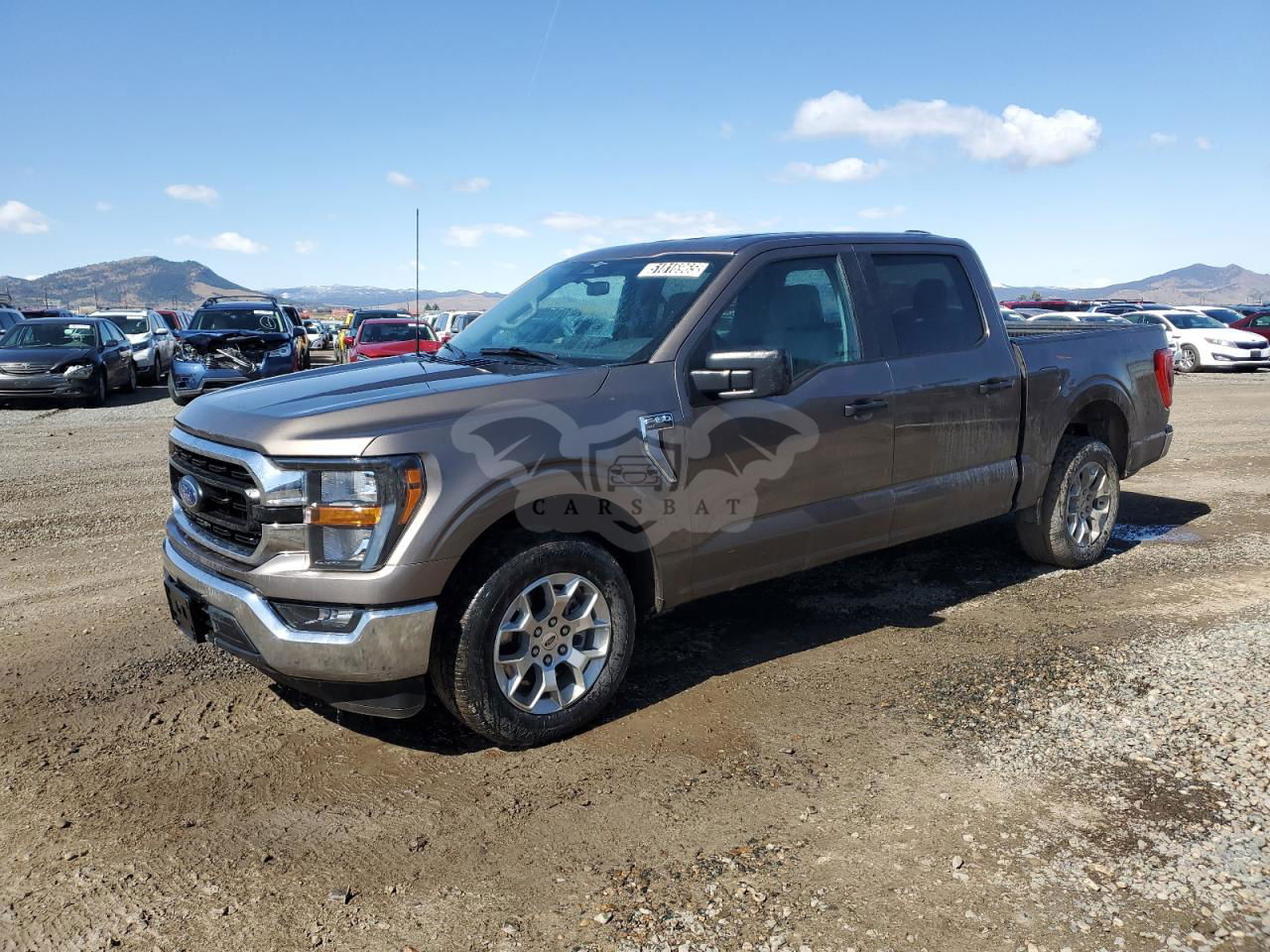 Ford F-150 SUPERCREW 5.0L  8 2023
