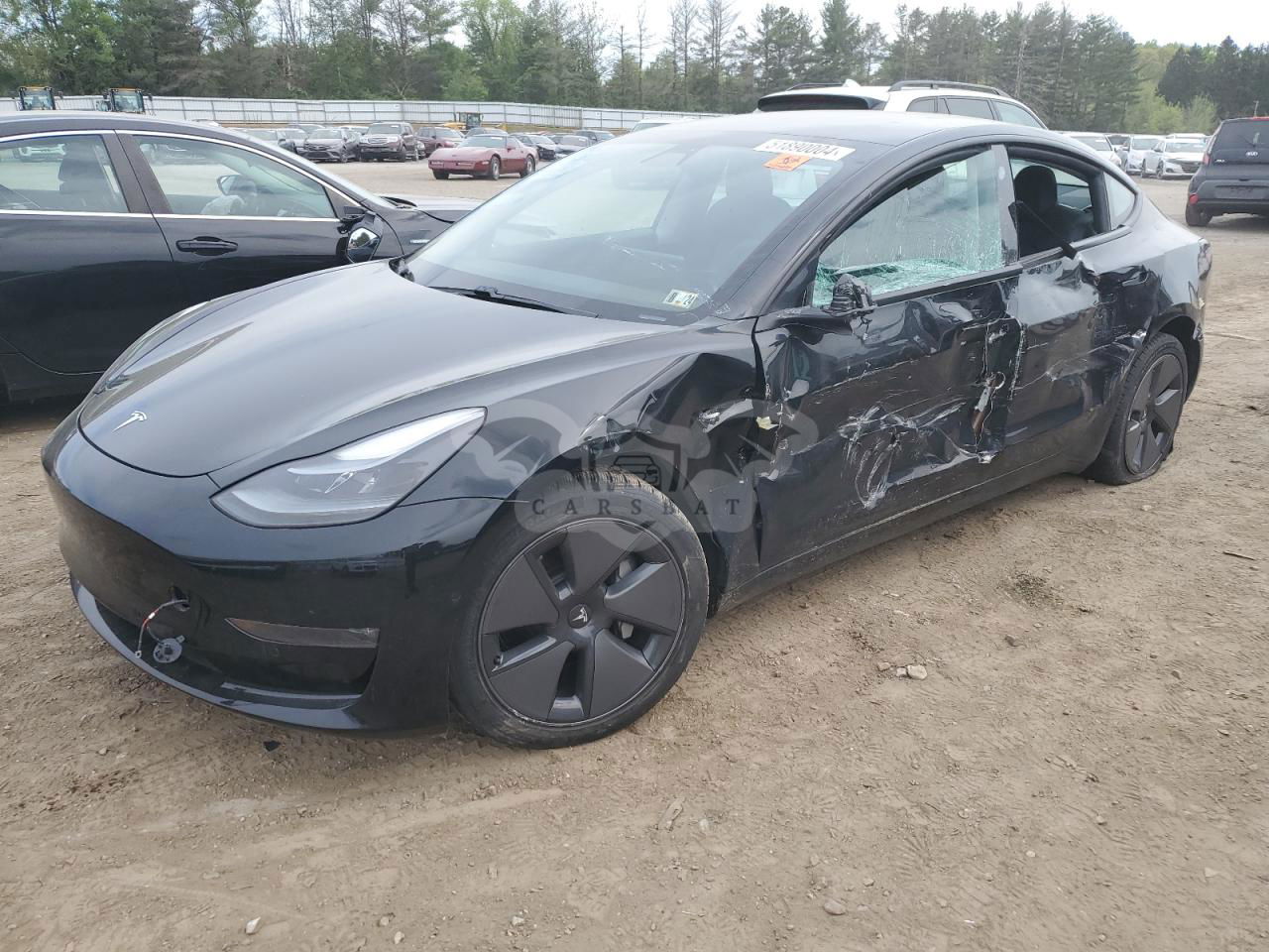 Tesla Model 3 2021