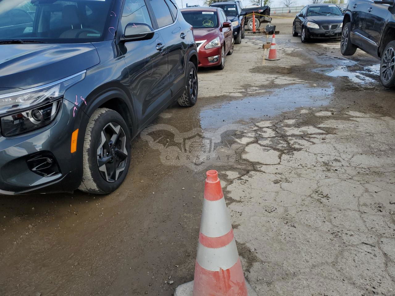 Kia Seltos 2024