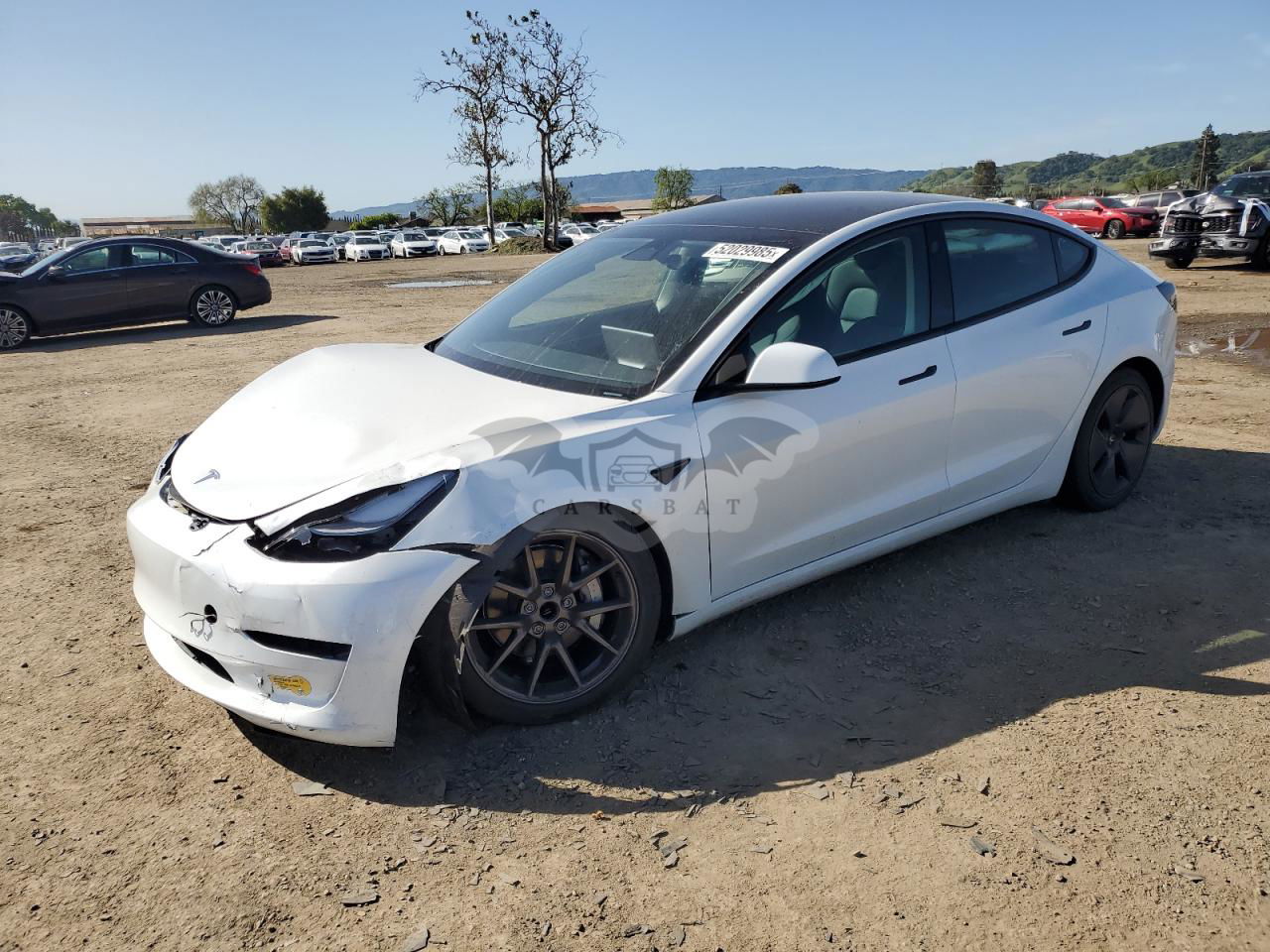 Tesla Model 3 2023