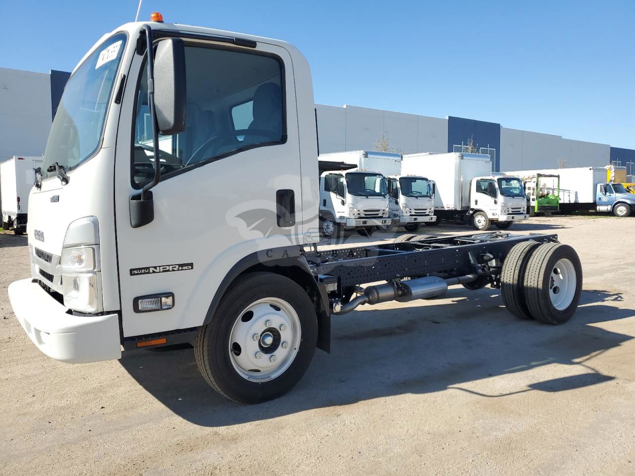Isuzu NPR 6.6L  8 2024